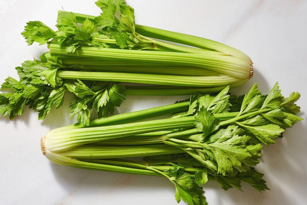 Growing Celery: A How-To Guide for Beginners