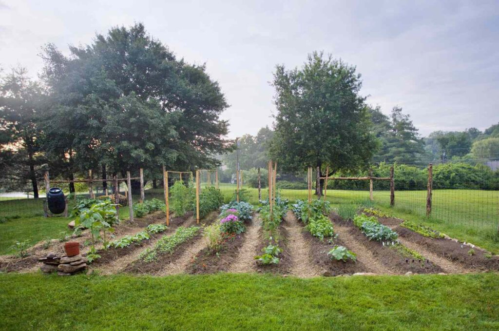 springtime in the garden